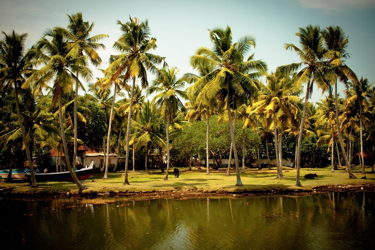 India travel tips: what to know before you go